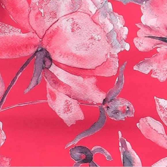 SALE Chiara Boni Beauty! NWT size 6 .The real Chiara! each $350 now $300 - Picture 4 of 5